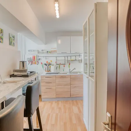 Apartment Bliss: Modern On Unirii Street *